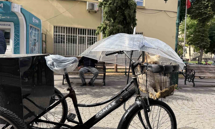 Gündemden Son Bilgiler: Eskişehir'de sağanakta üç tekerlekli bisikletli, sepetindeki köpeği şemsiyeyle korudu