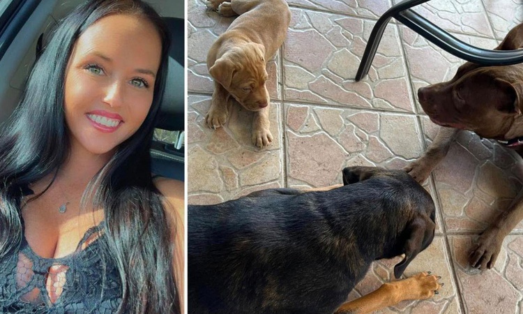 Gündemden Son Bilgiler: Evine güvenlik kamerası kuran adam hayatının şokunu yaşadı: İki çocuk annesi eşini köp