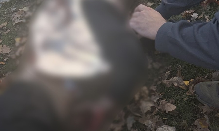 Gündemden Son Bilgiler: Harkov'da parka düzenlenen İHA saldırısında 3'ü çocuk 6 kişi öldü