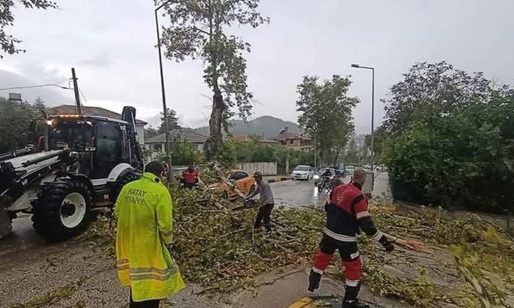Gündemden Son Bilgiler: Hatay Yayladağı'nda fırtınada park halindeki aracın üzerine ağaç devrildi: Gelişmeler