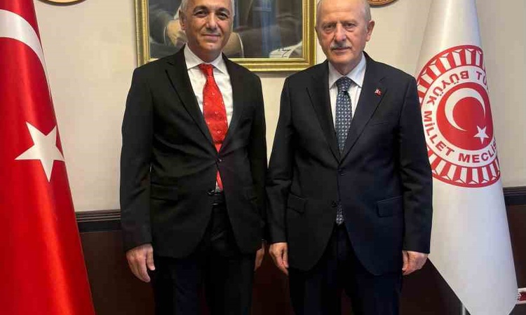 Gündemden Son Bilgiler: HEKİMSEN TBMM'de hekimlerin haklarını ve Hekimlik Meslek Kanunu'nu görüştü