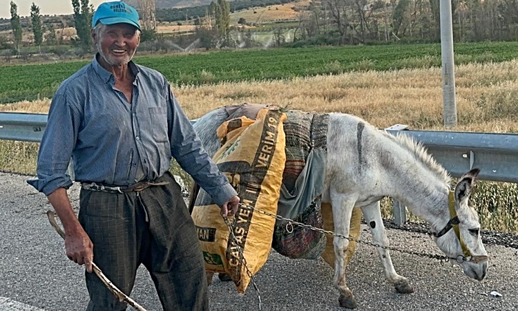 Gündemden Son Bilgiler: İki dönüm fasulyenin arkasındaki güç: 74 yaşındaki çiftçi ve bir eşek - Son Dakika Bil