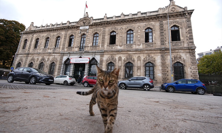 Gündemden Son Bilgiler: İzmir'deki Konak Mithatpaşa Lisesi 158 yıldır teknik eleman yetiştiriyor | İşte Tüm Ay
