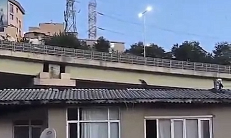Gündemden Son Bilgiler: Kağıthane’de viyadük altında gördüğü kişiden şüphelenip canlı yayın yaptı; asılsız ihb