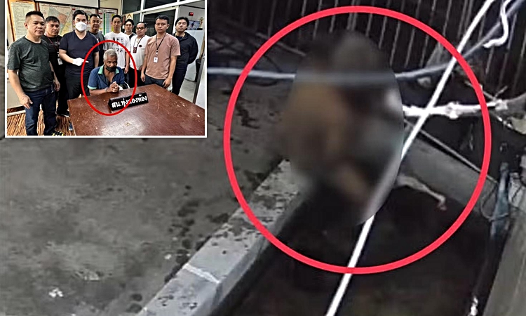 Gündemden Son Bilgiler: Komşusunun balığına istismarda bulundu! Verdiği ifade polisleri bile şaşkına çevirdi -