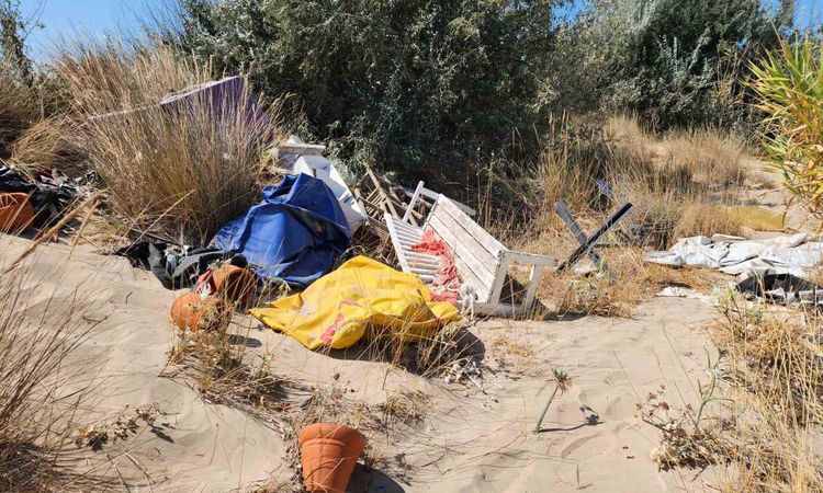 Gündemden Son Bilgiler: Koruma altındaki kum zambakları çöplerin arasında kaldı - Son Dakika Bilgileri