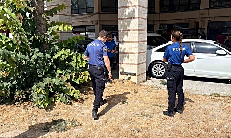 Gündemden Son Bilgiler: Kütahya'da esnafın beslediği kedi, bacakları kesilmiş halde bulundu! Bölgede 3. vaka v