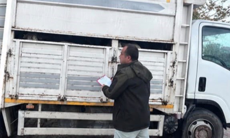 Gündemden Son Bilgiler: Sapanca'da 11 küçükbaş hayvanı belgesiz sevk edenler hakkında yasal işlem başlatıldı: