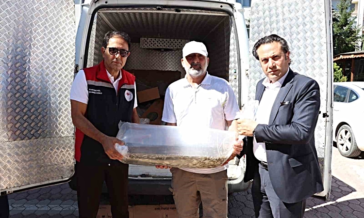 Gündemden Son Bilgiler: Sivas’ta yüzbinlerce yavru balık göl ve göletlere bırakıldı ve Merak Edilenler