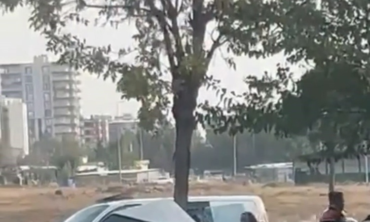 Gündemden Son Bilgiler: Siverek'te ağaca çarpan otomobil ikiye bölündü, kazada 3 kişi yaralandı | İşte Tüm Ayr