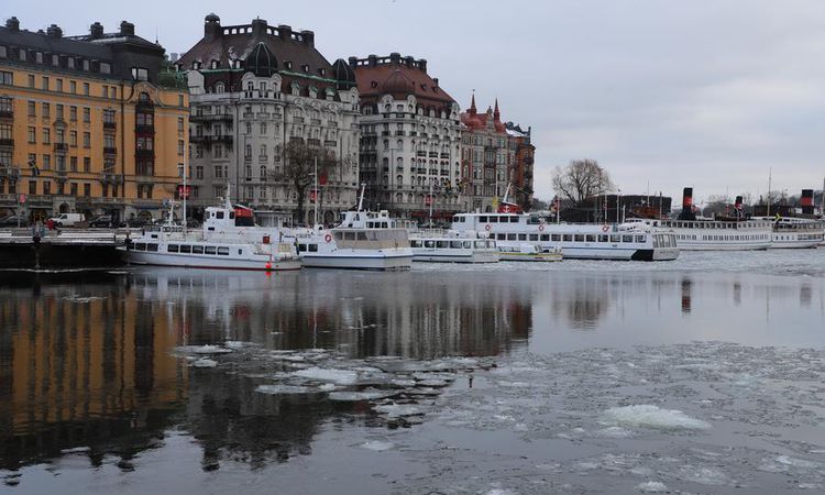 Gündemden Son Bilgiler: Stockholm'de 50 bin kişi iklim değişikliğiyle mücadele için yürüdü | İşte Tüm Ayrıntıl