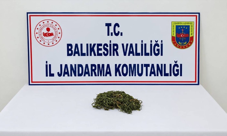Gündemden Son Bilgiler: Susurluk'ta makineye gizlenen uyuşturucuya yönelik operasyonda 2 şüpheli hakkında tutu
