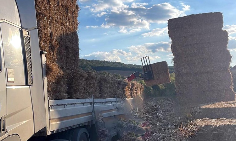 Gündemden Son Bilgiler: Tekirdağ Malkara'da üzerine yaklaşık 500 kilo saman balyası düşen Mustafa Ezerel öldü