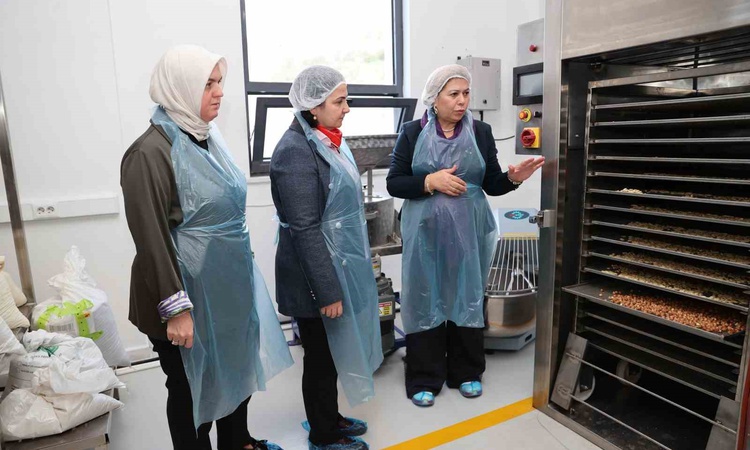 Gündemden Son Bilgiler: Vali eşi Elif Makas, tirmis bazlı gıda üreten girişimcinin çalışmalarını inceledi: Gel