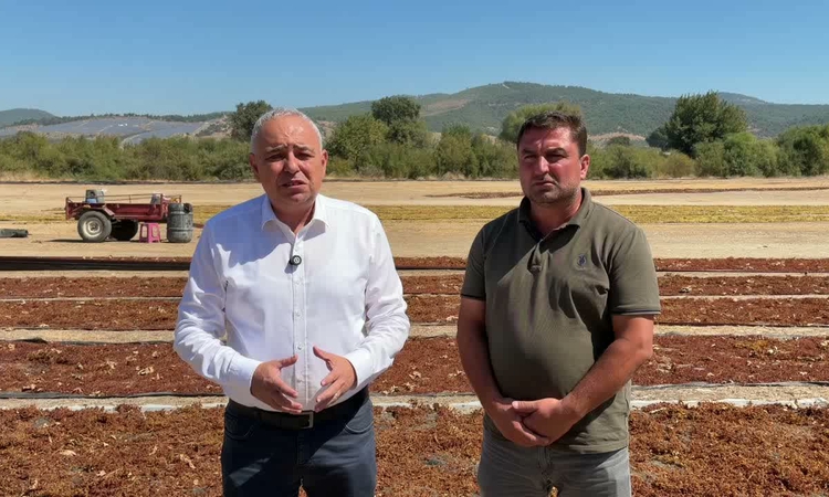 Gündemden Son Bilgiler: YENİ Partili Bakırlıoğlu: “TMO, üzüm üreticisini tüccarın insafına terk etti”: Gelişme