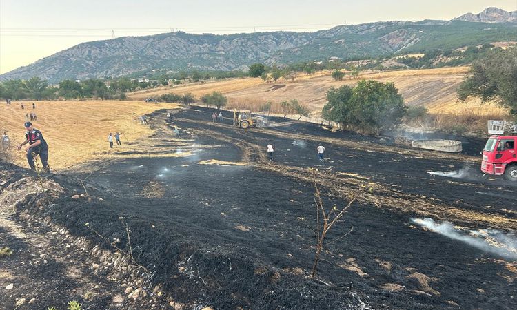 Gündemden Son Bilgiler: Yenipazar'da Tarım Yangını Kontrol Altında | İşte Tüm Ayrıntılar