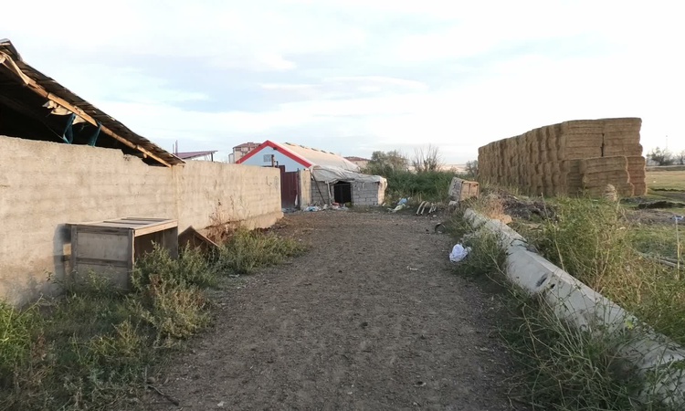 Gündemden Son Bilgiler: Yozgat'ta besici Özkan, yem 860 liraya çıkarken kesim fiyatı 595 lirayı geçmedi: Geliş
