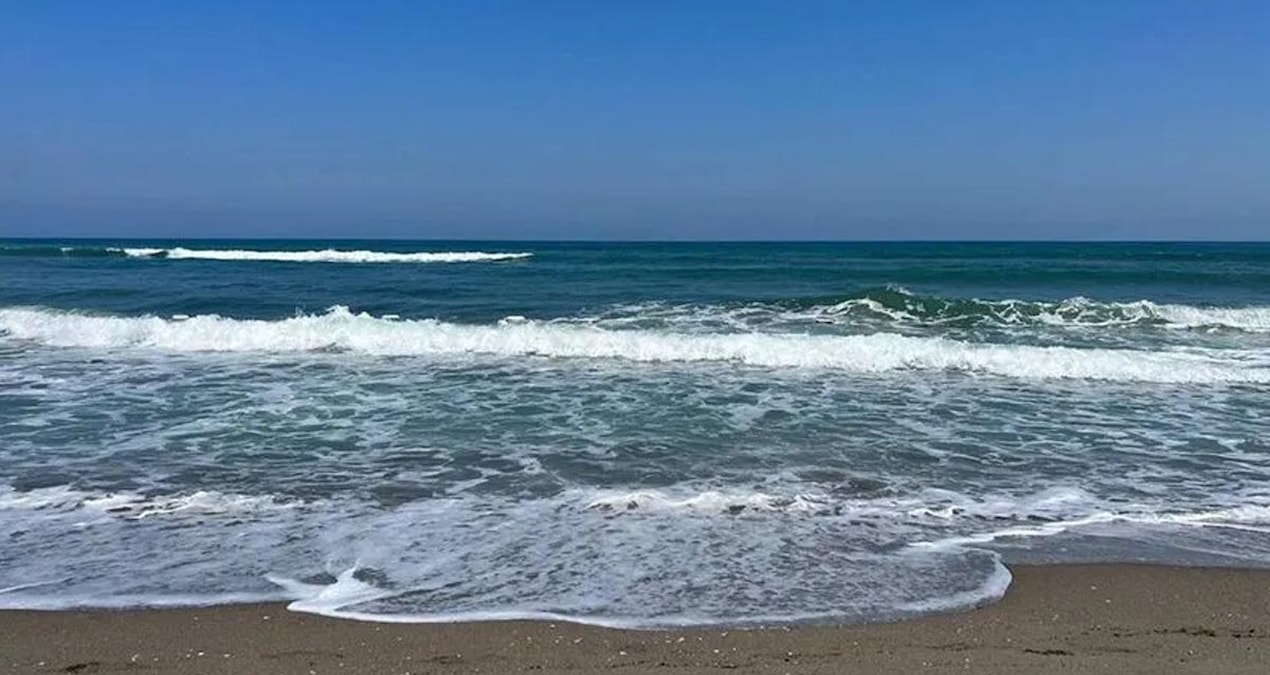 Swimming was banned on the weekend - News