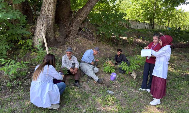 Cancer screening program in Hakkari.