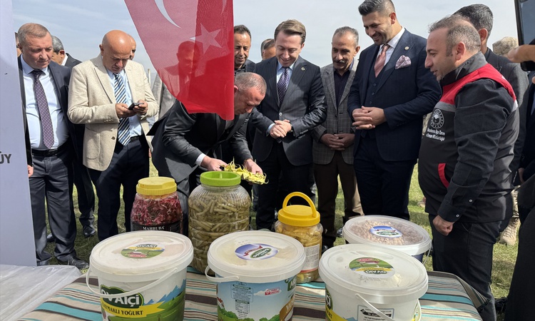 Hakkari Yüksekova'da kadın çiftçilerin ürünleri sergilendi, Kaymakam Hülür gül verdi: Gelişmeler Takip Ediliyo