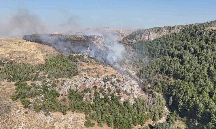 Gündemden Son Bilgiler: Hatay'da alevler: Orman ve zeytinlik alevler içinde - Son Dakika - Son Dakika Bilgiler