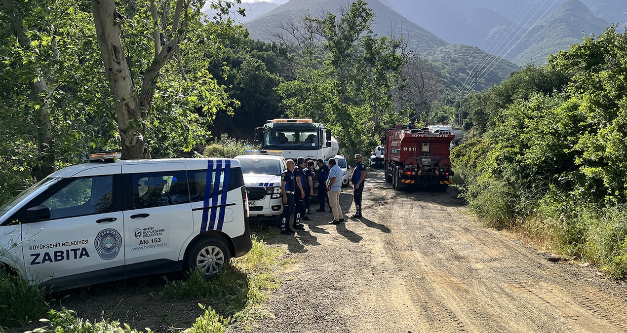 Kritik Açıklama: Hatay Kırıkhan'da orman yangını - En Son Haber - Son Dakika Bilgileri