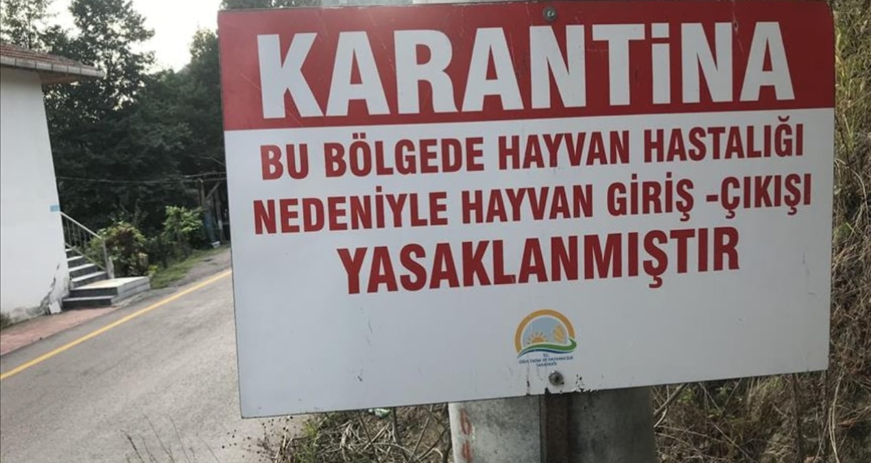 Kritik Açıklama: Hatay'da kuduz karantinası! Bölgeye giriş çıkış yasaklandı - Son Dakika Haberleri | İşte Tüm