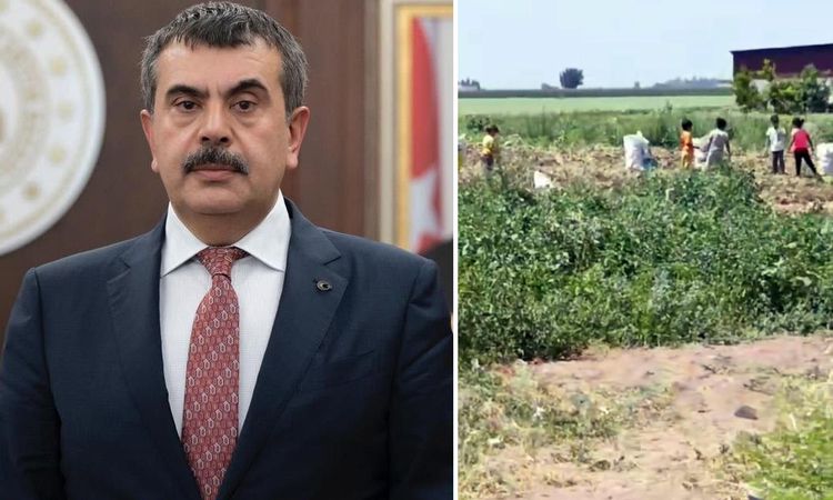 Ayrıntılar Netleşti: Hatay Kumlu'da vahim iddialar! Bakan Tekin'e çağrıda bulundular: Lütfen bu duruma el atın