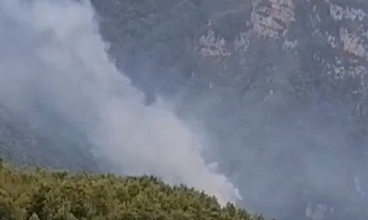 Hatay'da orman yangını ve Merak Edilenler
