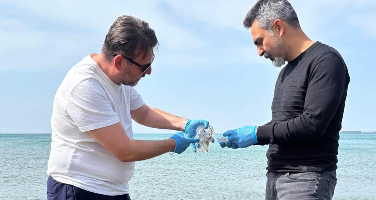 Son Gelişme: Hatay'da tedirgin eden görüntü - Haberleri | İşte Tüm Ayrıntılar