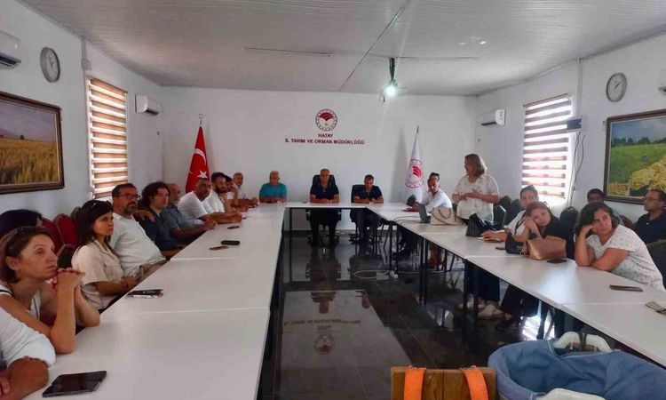 Kritik Açıklama: Hatay’da turunçgillerde doğru hasat uygulamaları anlatıldı - Son Dakika Haberleri | İşte Tüm
