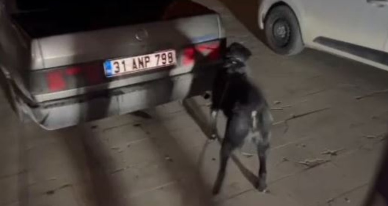 Kritik Açıklama: Hatay'da uyuşturucu sevkiyatı polise takıldı: 3 tutuklama - Son Dakika: Gelişmeler Takip Edil