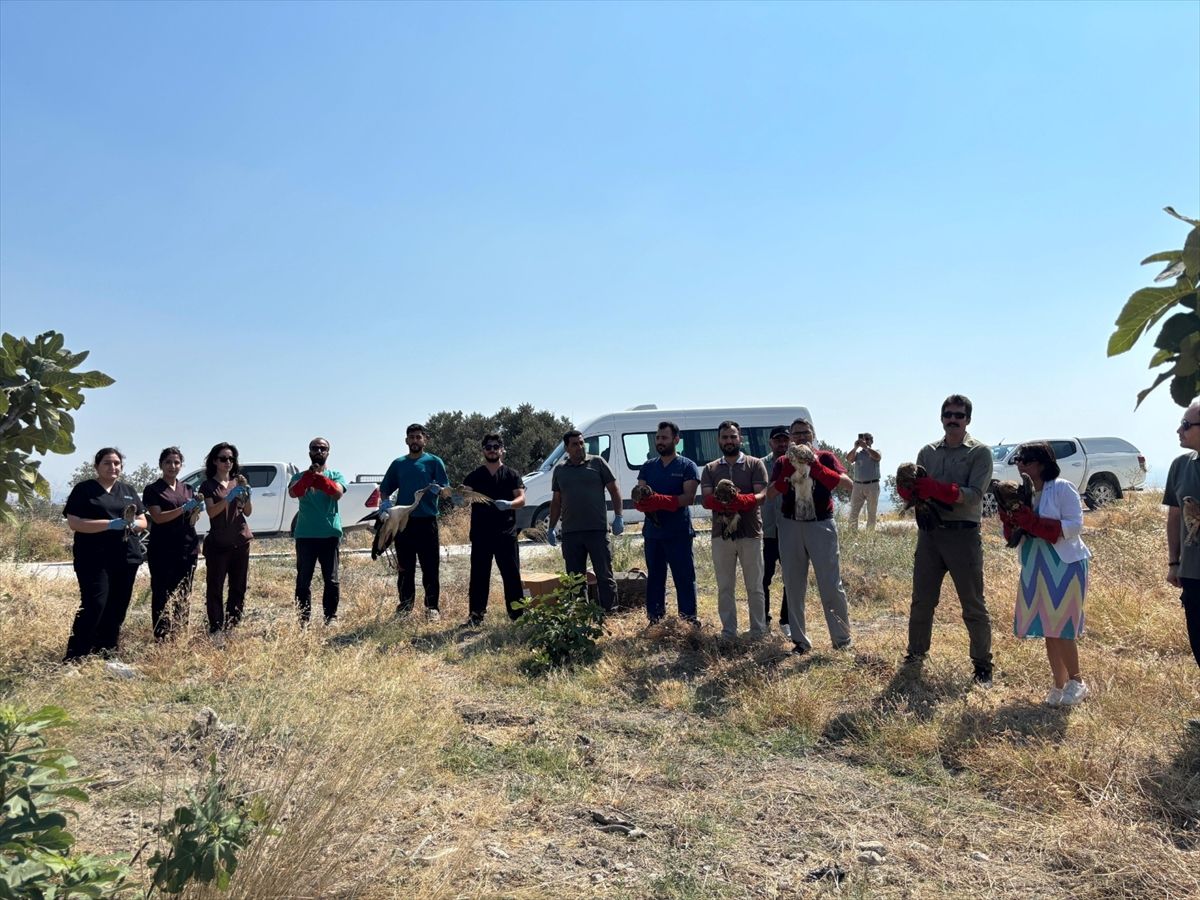 18 birds found injured and exhausted in Hatay were released into the wild after treatment - Last Minute
