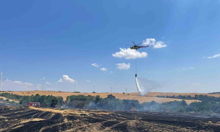 Ayrıntılar Netleşti: Hayrabolu'da Anız Yangını Ormanlık Alana Sıçradı, Kontrol Altına Alındı - Son Dakika - So
