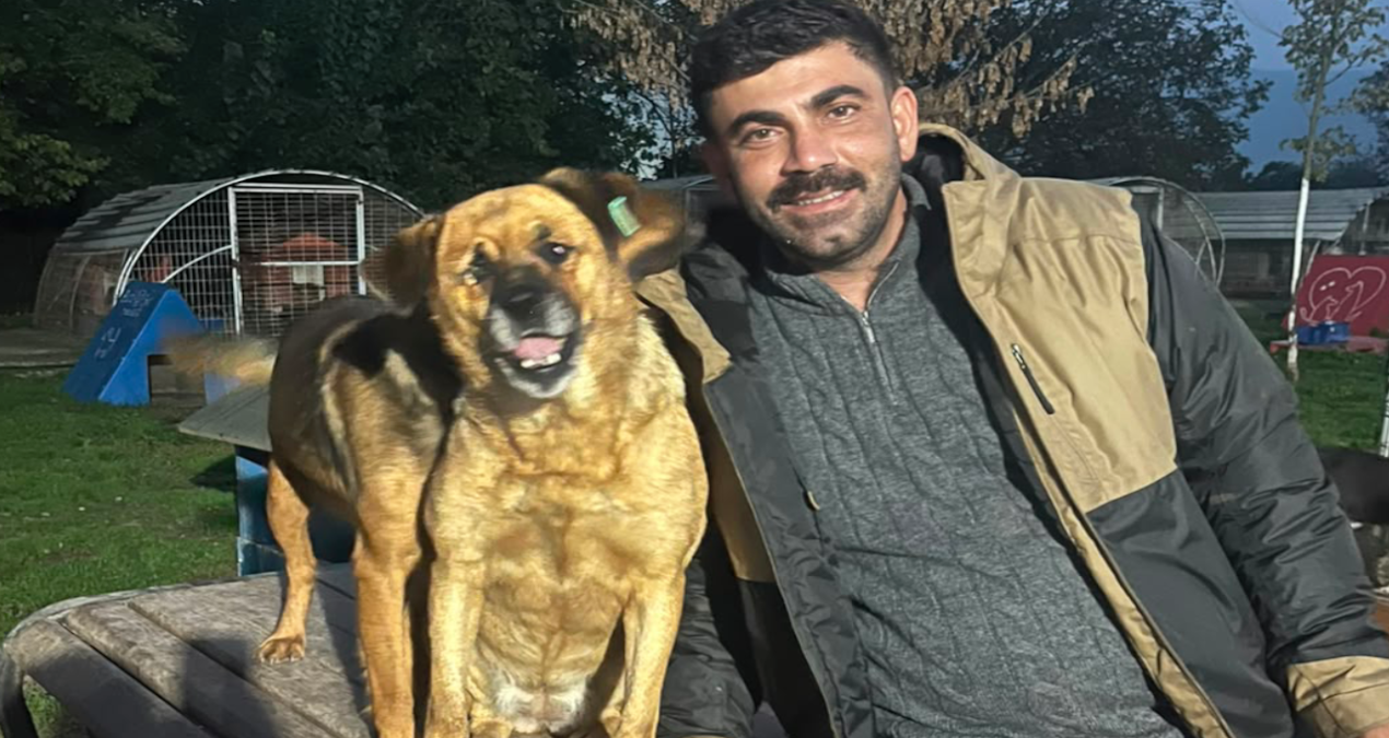Son Gelişme: Hayvanlar için mücadele etti, çetelerin tehdidiyle karşı karşıya kaldı - En Son Haber - Son Dakik
