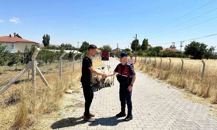 Son Gelişme: Hayvanları kaybolan çiftçinin yardımına Jandarma ekipleri koştu - Son Dakika | İşte Tüm Ayrıntıla