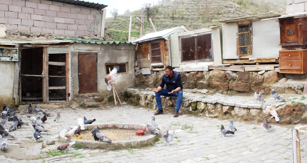 Hobi olarak başladığı güvercin tutkusunu 35 yıldır sürdürüyor - Son Dakika | İşte Tüm Ayrıntılar