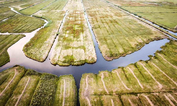 "Water scarcity" declared in the Netherlands - Last Minute