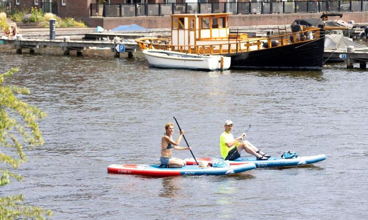 Heatwave in the Netherlands Caused More than 900 Additional Lives - Breaking News