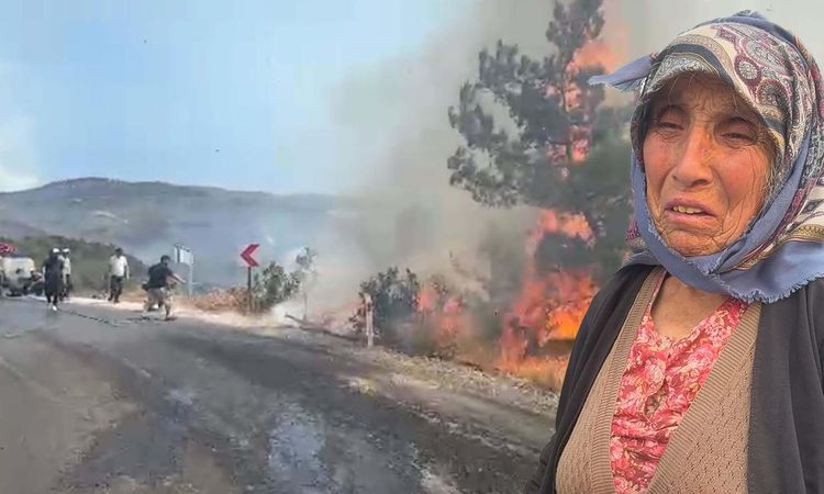 Son Gelişme: İki alevler yeniden büyüdü! Arzu Nine köpeği için gözyaşı döktü: Nerede öldüğü belirsiz - Son Dak