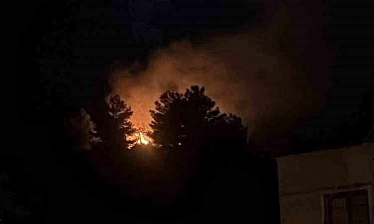 İlk belirlemelere göre Hatay Arsuz'da havai fişek ormanlık alanda yangına neden oldu: Gelişmeler Takip Ediliyo