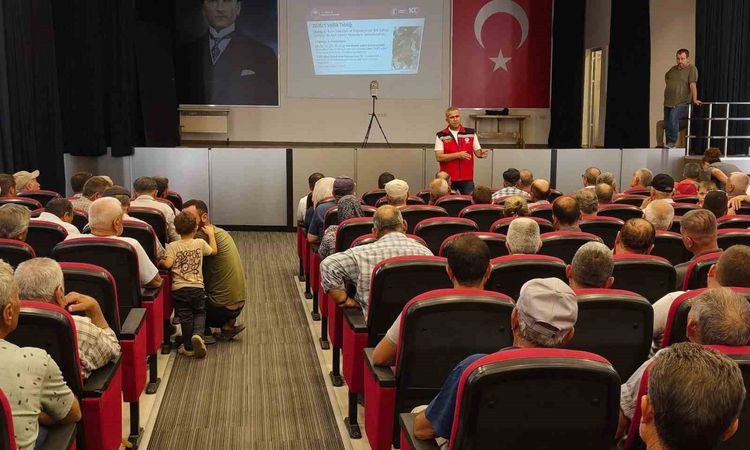 Sıcak Gündem: İncirde kaliteyi artıracak uygulamalar üreticilere anlatıldı - Son Dakika ve Merak Edilenler