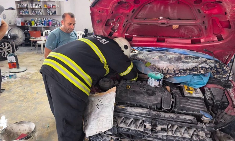 İskenderun’da mahsur kalan kedileri itfaiye kurtarıldı ve Merak Edilenler