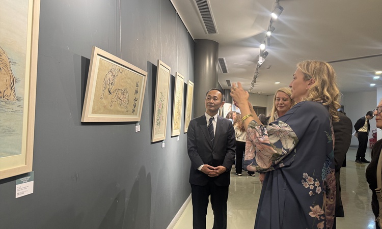 İstanbul Japan Week 2026, Japon kültürünü 8. kez sanat ve sinemayla buluşturuyor - Son Dakika Bilgileri