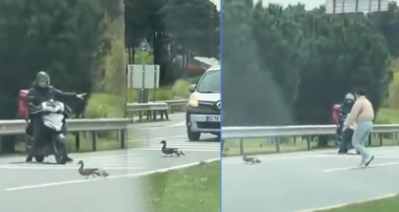 Son Gelişme: İstanbul trafiğinde ördek operasyonu - En Son Haber
