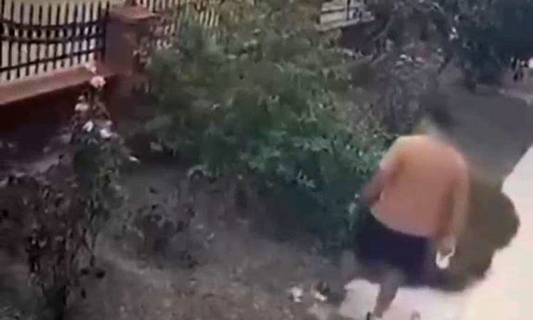 İzmir Bayraklı'da anne kediye tekme atan şahıs, kedi saldırınca kameraya yakalandı: Gelişmeler Takip Ediliyor