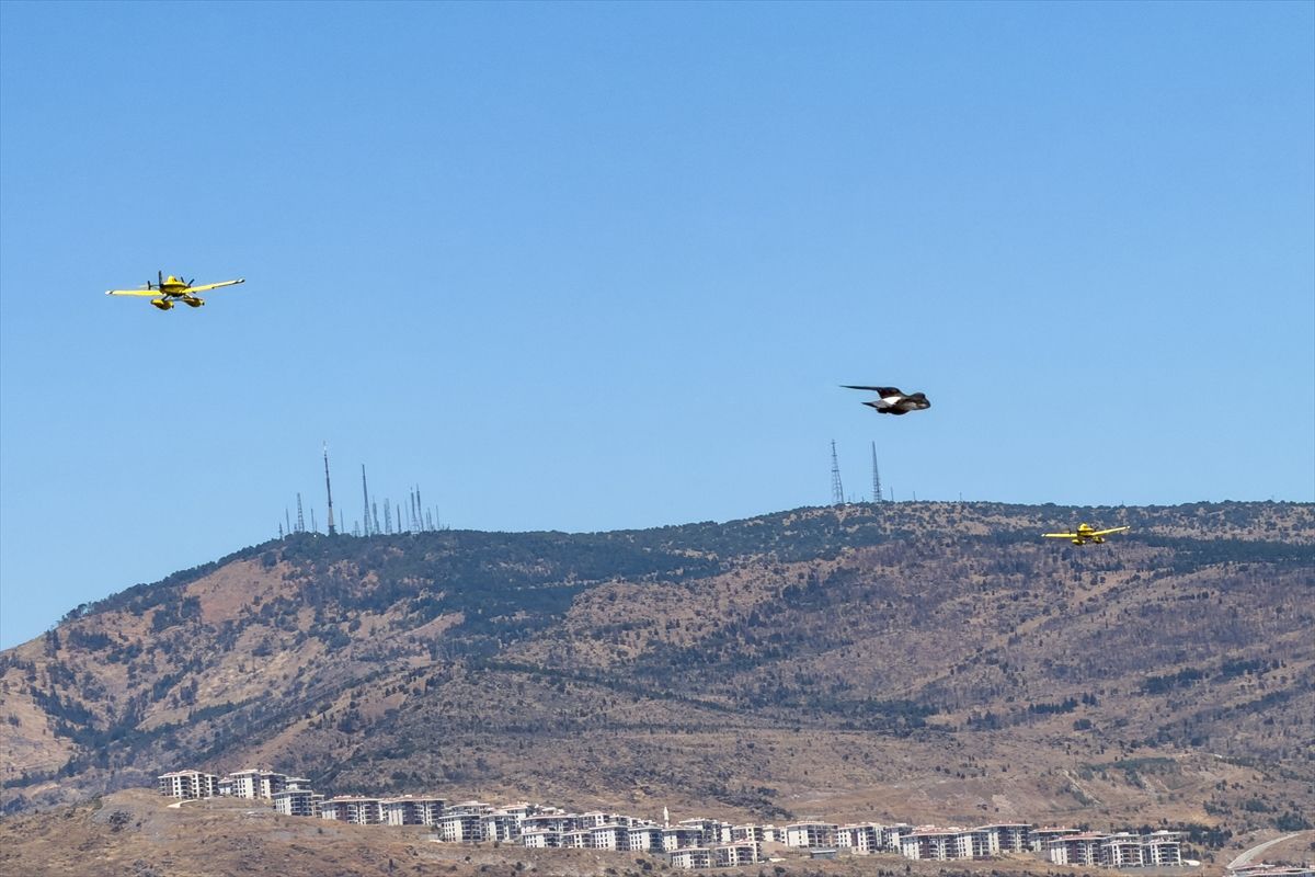 Forest fires are being intervened in Izmir - Last Minute
