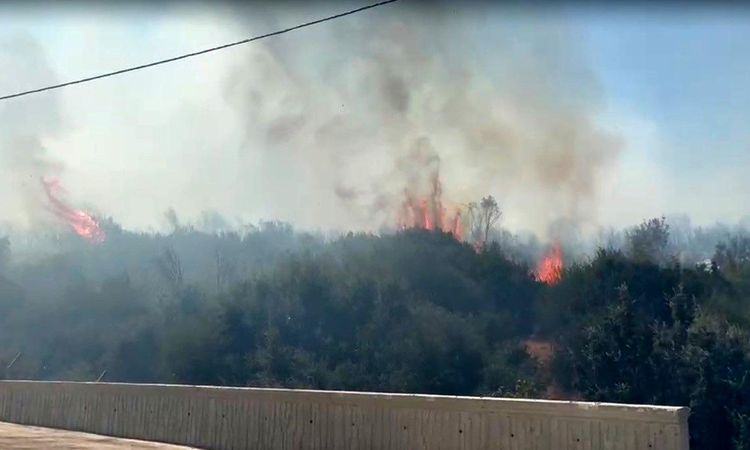 Flames in the forest area in Izmir, factories were evacuated - Breaking News