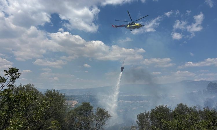 The flames that spread from the agricultural area to the olive grove in Izmir were restrained - News