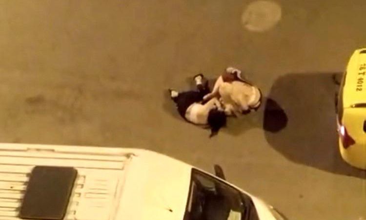Street fight between 3 women in Iğdır was caught on mobile phone camera - Breaking News